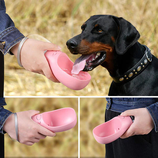 Pet Water Bottle™