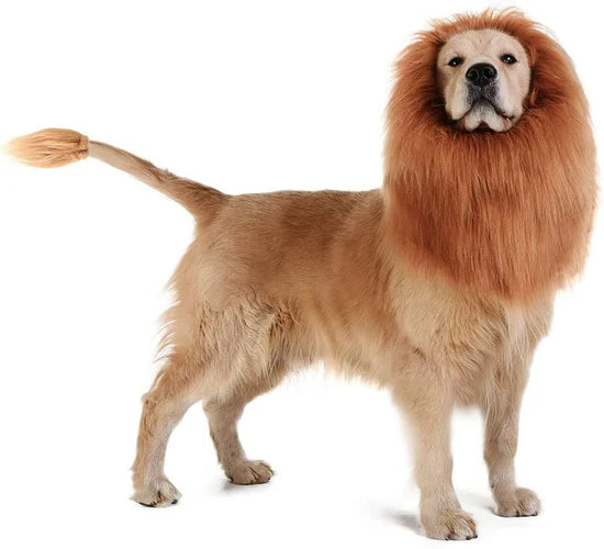 Lion Dog Costume™