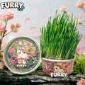 Organic Cat Grass by F&C™