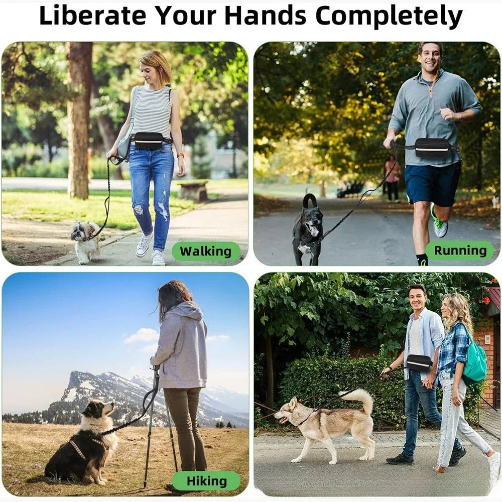 Hands-Free Dog Elastic Reflective Leash by F&C™