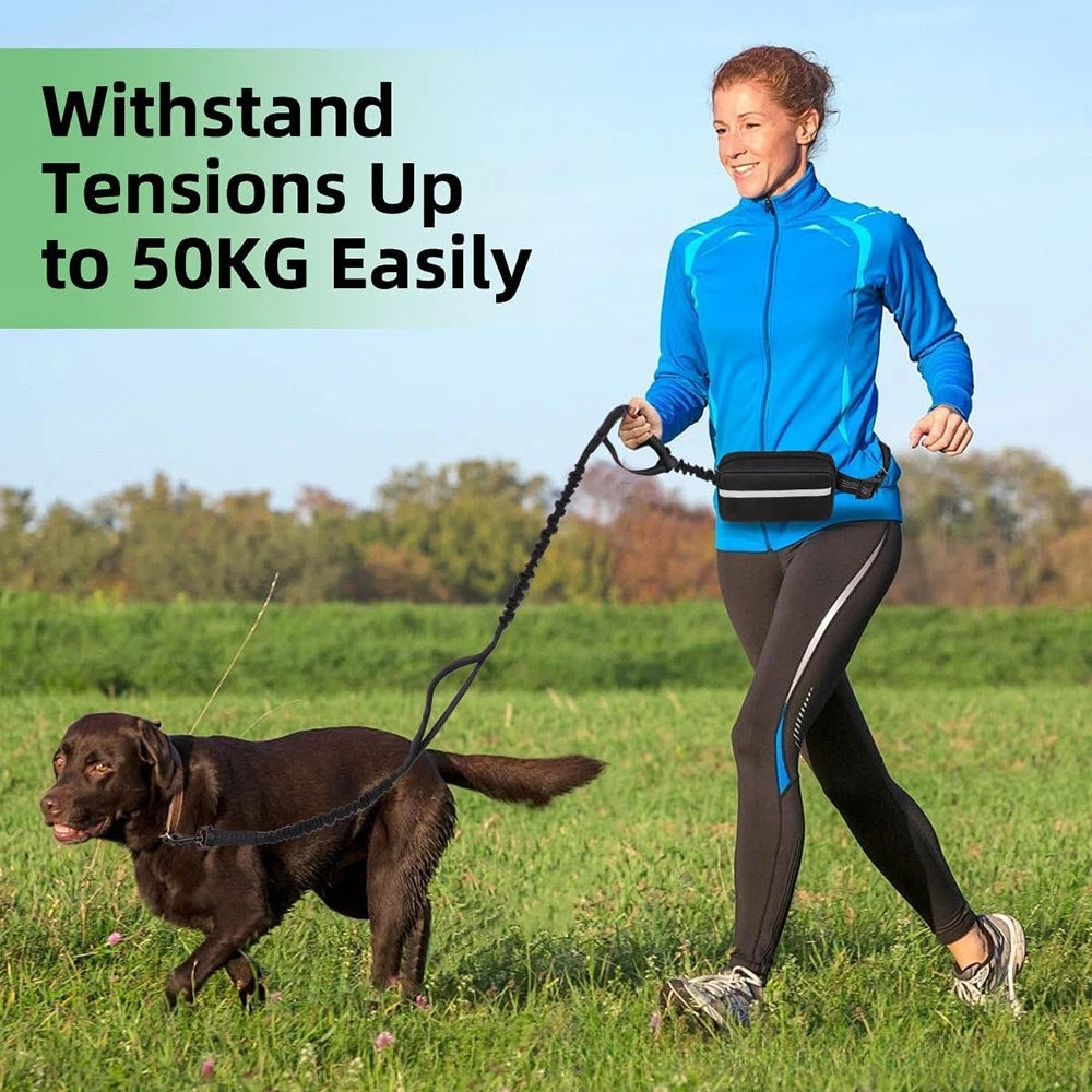 Hands-Free Dog Elastic Reflective Leash by F&C™