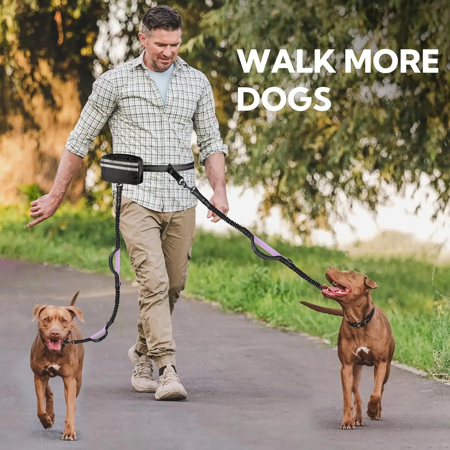 Hands-Free Dog Elastic Reflective Leash by F&C™