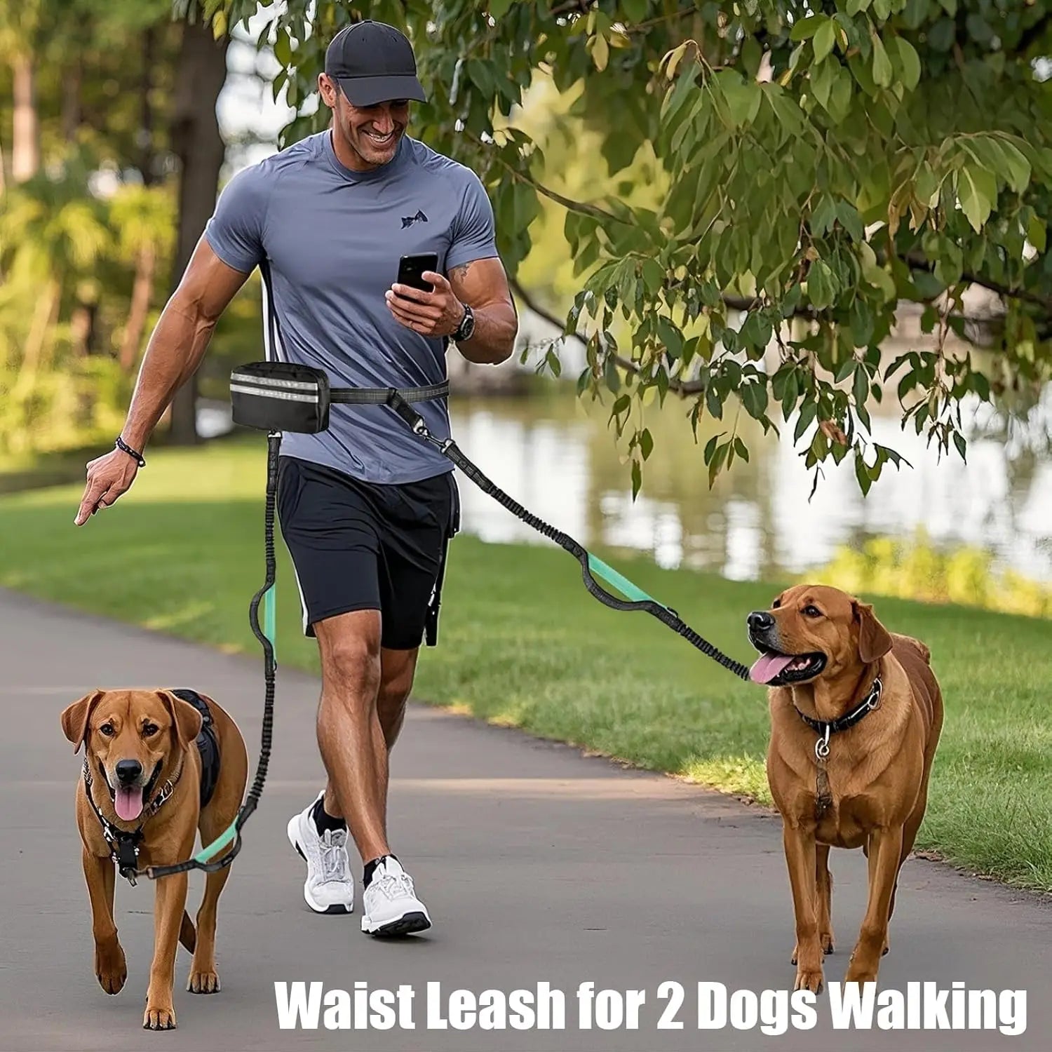 Hands-Free Dog Elastic Reflective Leash by F&C™
