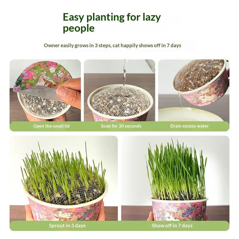 Organic Cat Grass by F&C™