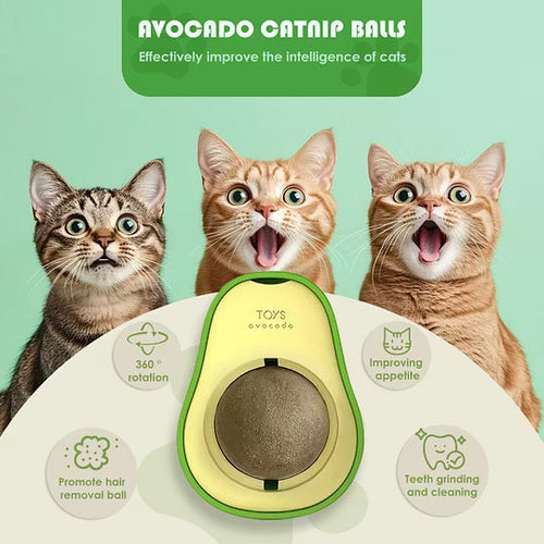 Cat Grass Ball Spin by F&C™
