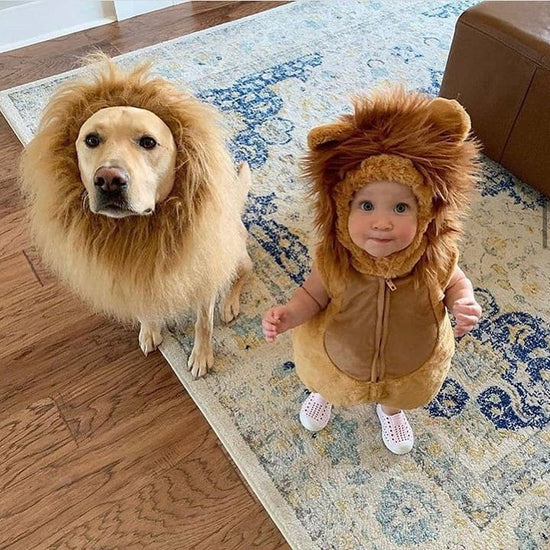 Lion Dog Costume™